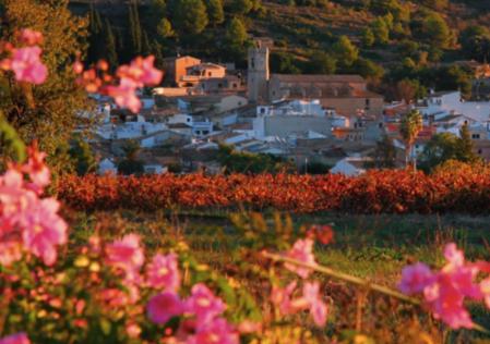 El Vall de Pop