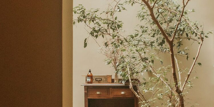 Hotel de Francis Ford Coppola