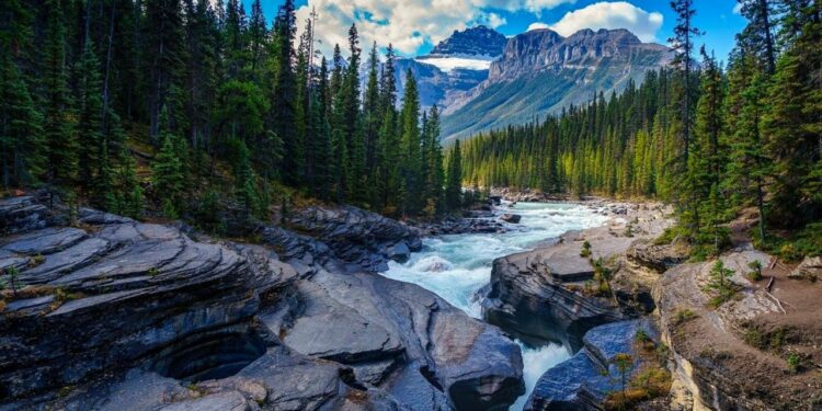 Canadá regala pases para visitar sus parques nacionales GRATIS, ¿Cómo adquirirlos?