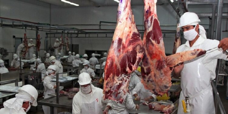 Carne paraguaya tuvo el mejor precio en 5 años