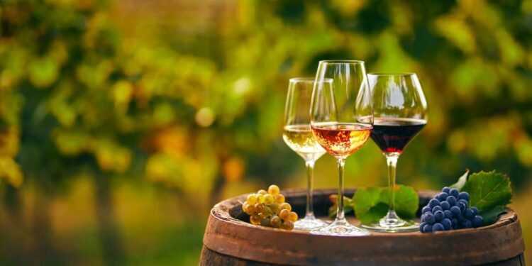 Cinco destinos ideales para tomar una buena copa de vino