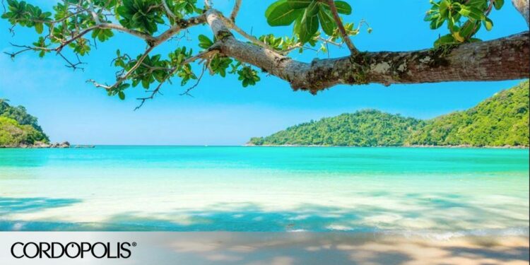 Cinco playas que enamorarán a los amantes del océano