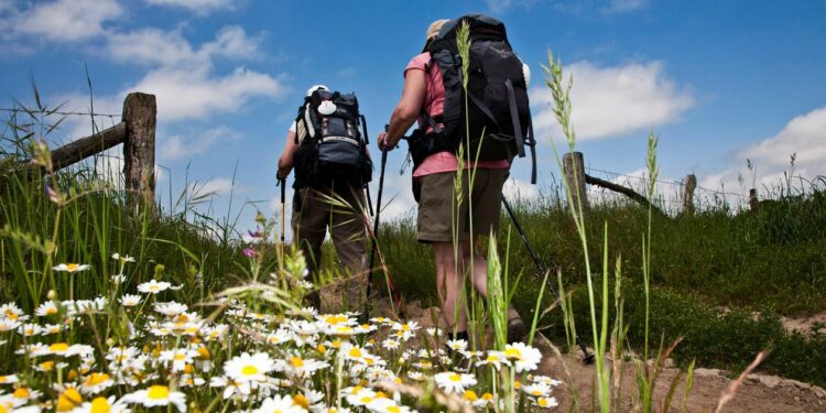 Cuaderno de viaje: de Sarria a Portomarín