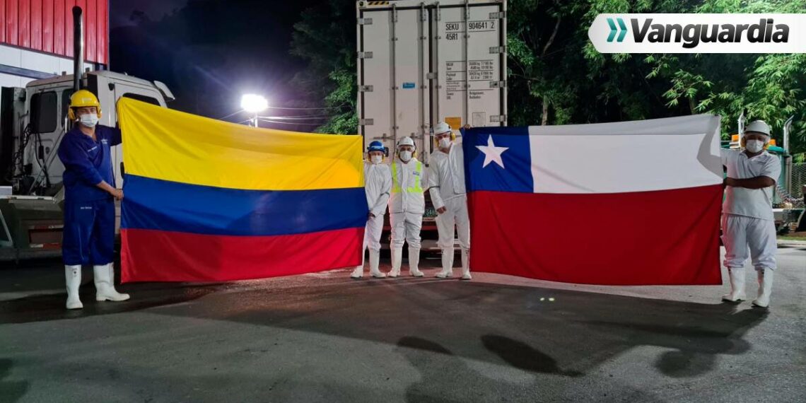 De Bucaramanga para el mundo: Minerva Foods exporta carne bovina a Chile