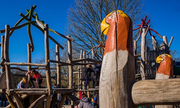 Juego en el bosque de Soignes, donde se ubica el Monasterio Rojo de Bruselas./visit.brussels