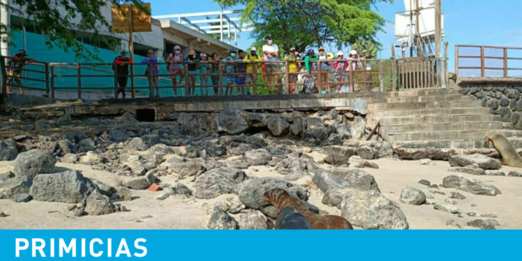 Ecuador, uno de los destinos sugeridos por National Geographic