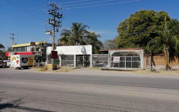 Encuentran hombre sin vida en el crucero de San José Vista hermosa en Puente de Ixtla - La Crónica de Morelos | Noticias