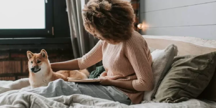 Hotel Hilton Bogotá: ¿cómo hacer viajes petfriendly?