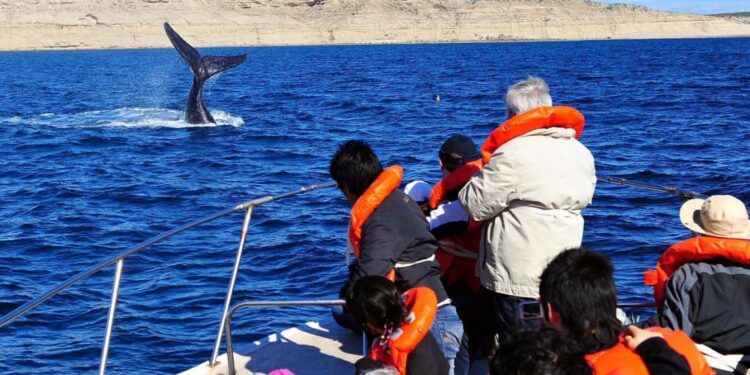 Invierno récord: cinco millones y medio de turistas recorrieron destinos del país