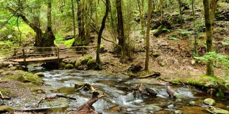 La Gomera acuerda postularse para albergar la sede de la Agencia Europea del Turismo – El Tambor.es