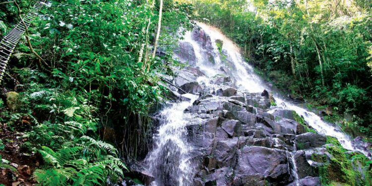 La Nación / Paraguay quiere ser el “mejor destino líder en naturaleza” de América del Sur