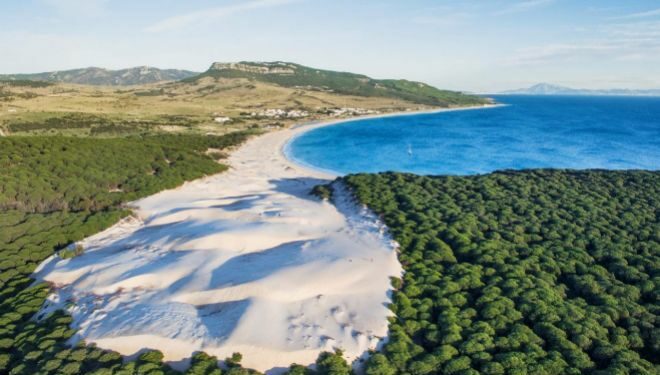 Playa de Bolonia (Foto: Turismo de C