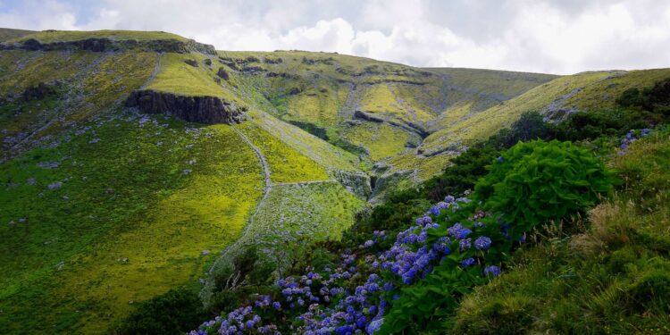 Azores