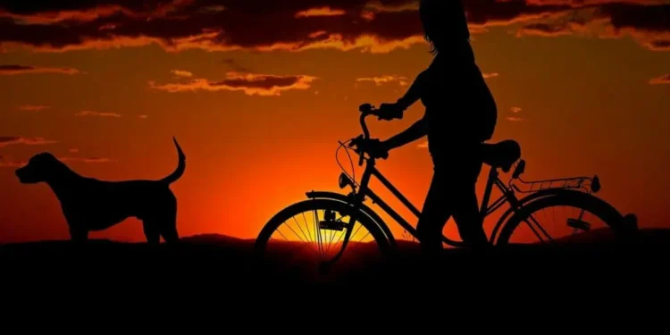 mejores destinos de España para viajar con perro