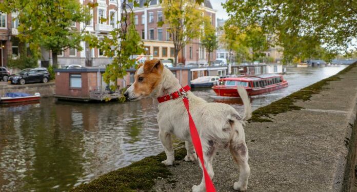 Ámsterdam