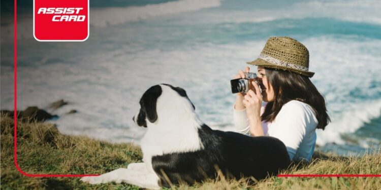 Ofrecen asistencia integral para mascotas en viajes – Noticias Última Hora de Guatemala