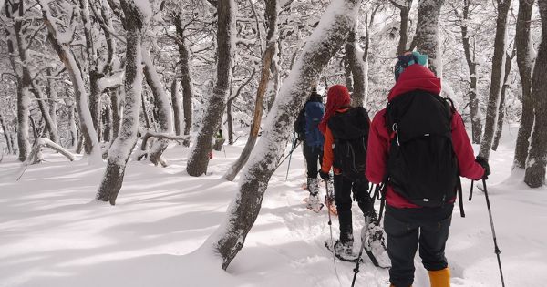 PreViaje 3: los 5 destinos tursticos imperdibles de Argentina para visitar en vacaciones de invierno