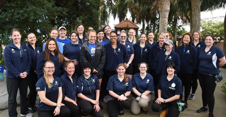 The Dolphin Company: una super empresa para mujeres