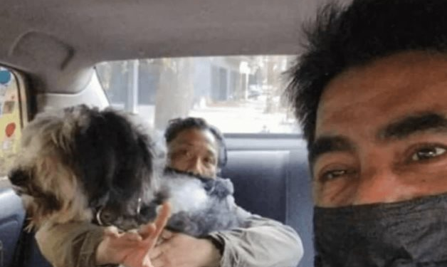 Taxista de perros de la CDMX se vuelve viral