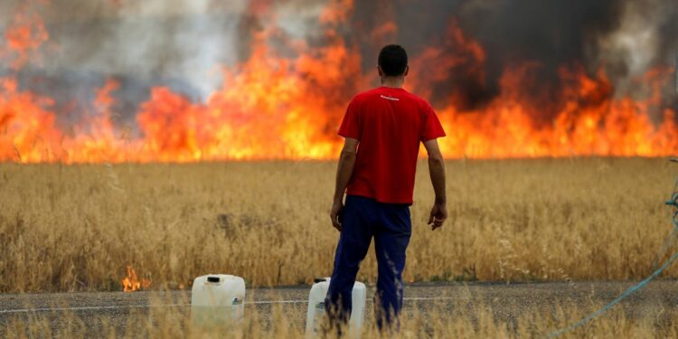 Última hora de los incendios en España, en directo | Renfe suspende este martes la circulación de trenes entre Madrid y Galicia por el incendio de Zamora | España