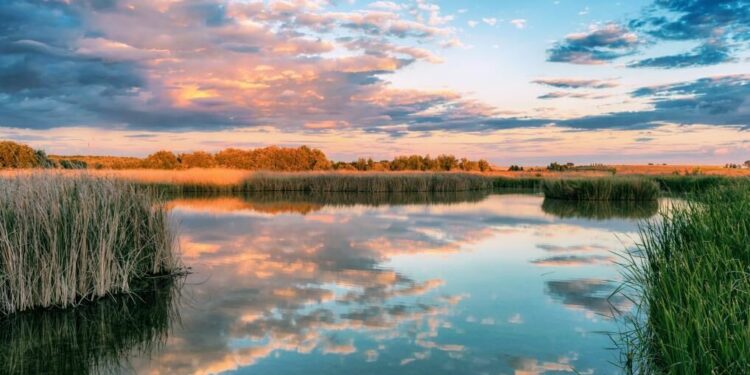 Un viaje a la Mancha Húmeda entre molinos, lagunas y El Quijote