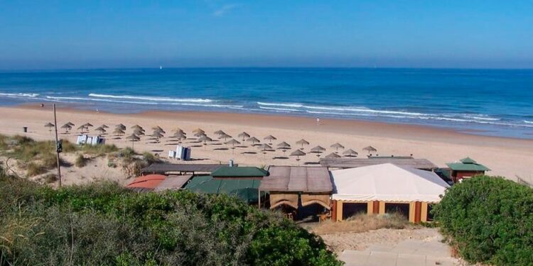 playa canaria