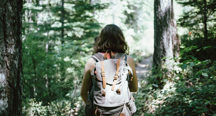 Viajes a la naturaleza: la opción más responsable para conocer los mejores destinos de nuestro planeta
