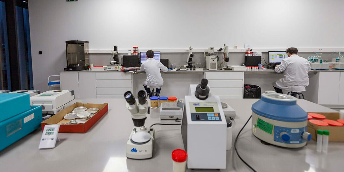 Vicky Foods volverá a premiar la investigación en nutrición y salud