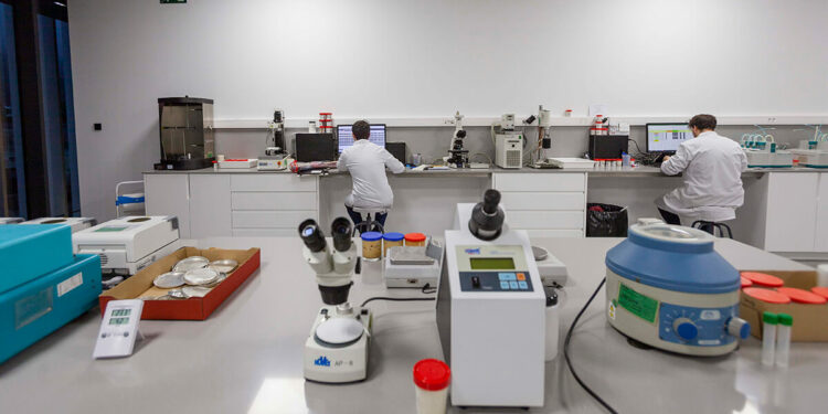 Vicky Foods volverá a premiar la investigación en nutrición y salud