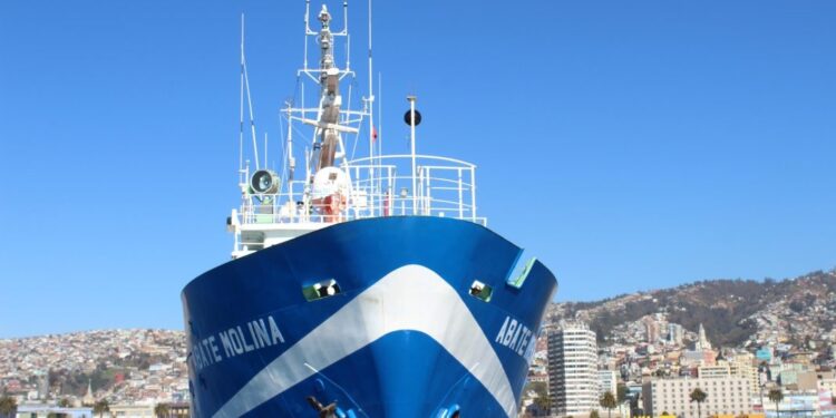 ¿Cómo está la merluza común en Chile?