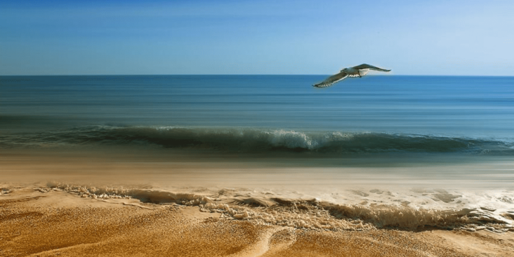 ¿Cuáles son las 5 playas más cercanas a la ciudad de León, Guanajuato?