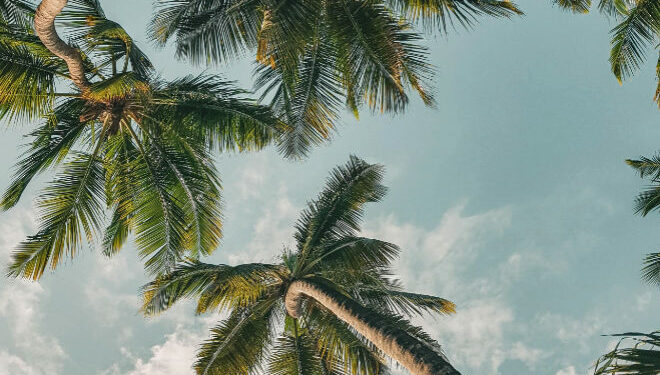 La flexibilidad permite adaptarse y aprovechar los meses de mejores ofertas tanto en billetes de tren o avi