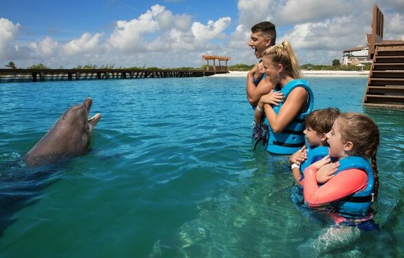 5 Mejores Tours y Actividades en Cancún – La Verdad