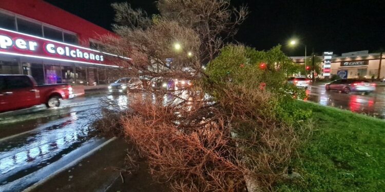 Atienden autoridades 30 reportes por lluvias en Hermosillo | Noticias de Sonora