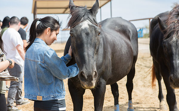 California te invita a que te tomes un descanso