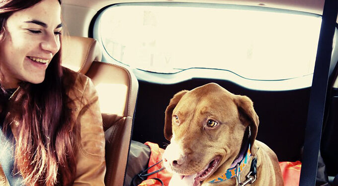 TAXI MASCOTAS