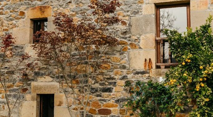 Villa Pacheca Casa Boutique.