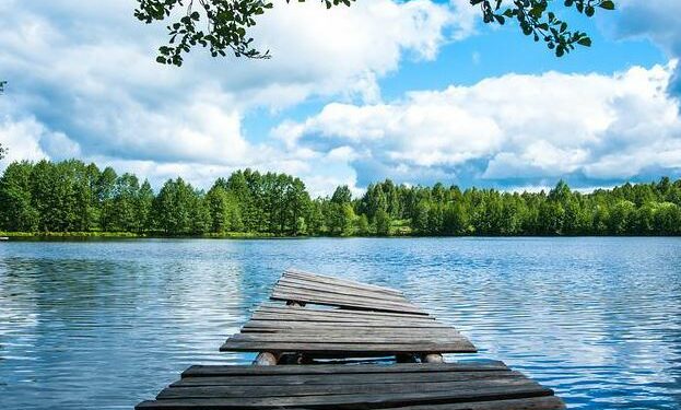 DIT GESTIÓN: Protejamos nuestro entorno