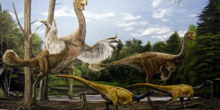 aves reptiles dinoturismo mejores lugares