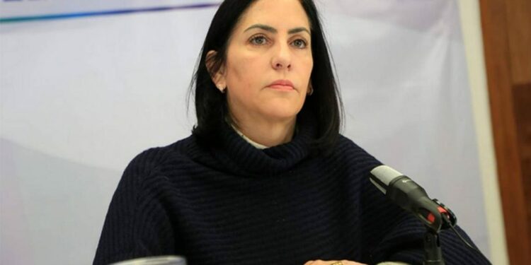Empresa es beneficiada hasta con 15 contratos por Lía Limón – Diario Basta!