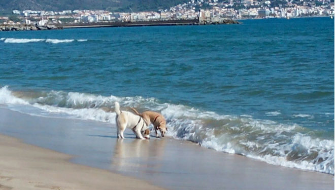 Playa de La Rubina, Empuria Brava (Gerona).