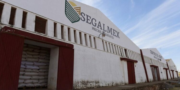 FGR acusa de delincuencia a 15 exfuncionarios de Segalmex