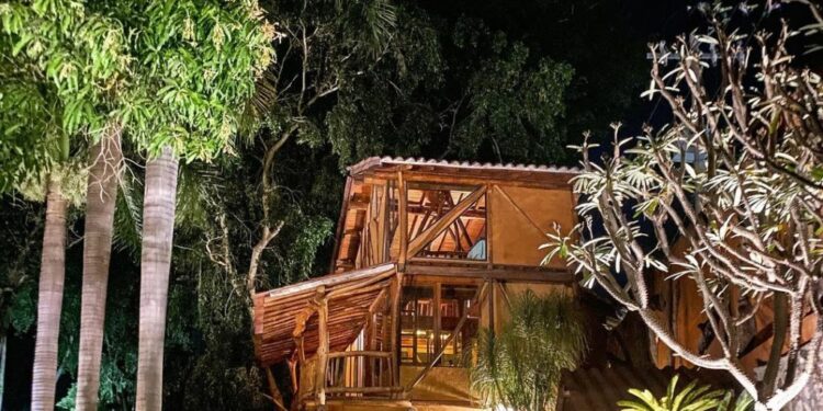 Hay una cabaña romántica en Morelos con un vivero privado donde adquirir todo tipo de plantitas