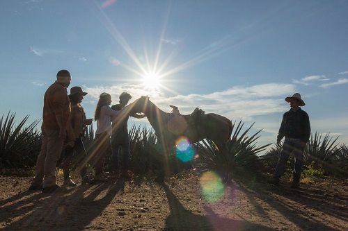 Ingreso de divisas por turismo podría superar los 26 mil millones de dólares al cierre de 2022