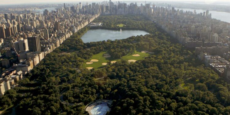 Ciudad de Nueva Yorkdfd