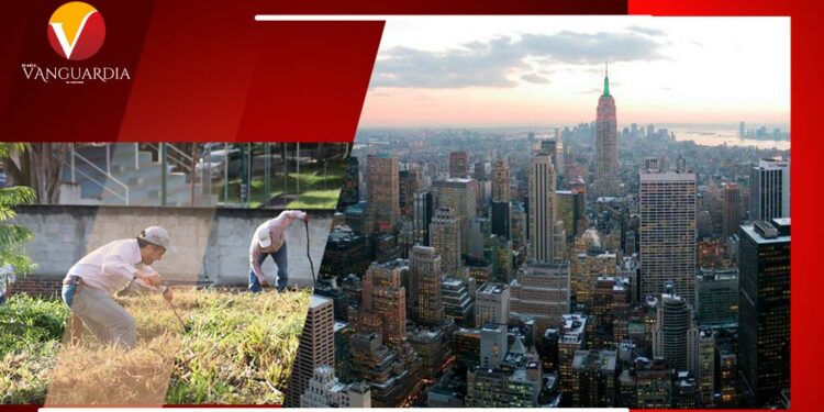 No presumo viajes a Manhattan, chapeo escuelas: Cuitláhuac
