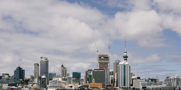 Nueva directiva de New Zealand Cruise Association espera recuperación de la industria