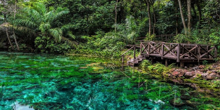 Pantanal y Bonito, los mejores destinos de ecoturismo de Brasil