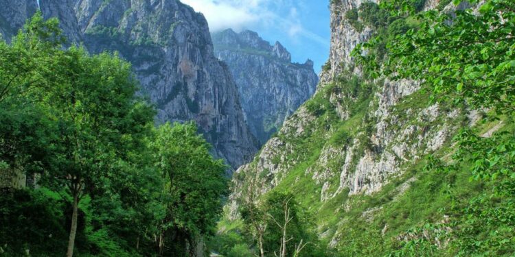 Picos de Europa