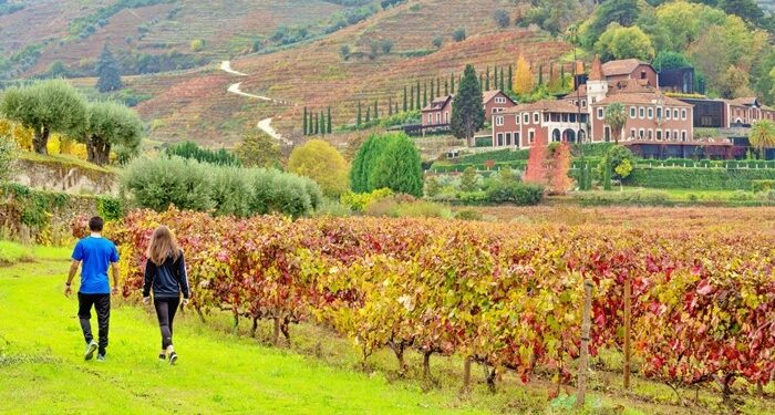 Six Senses Douro Valley, un universo para los amantes del vino